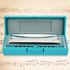 Blues Harmonica 10-Hole Mouthorgan Ab Key Portable Wind Instrument High