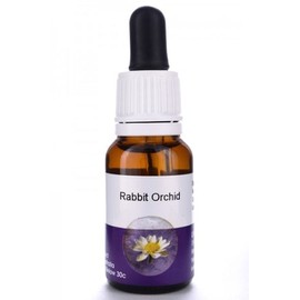 Living Essences Rabbit Orchid 15ml