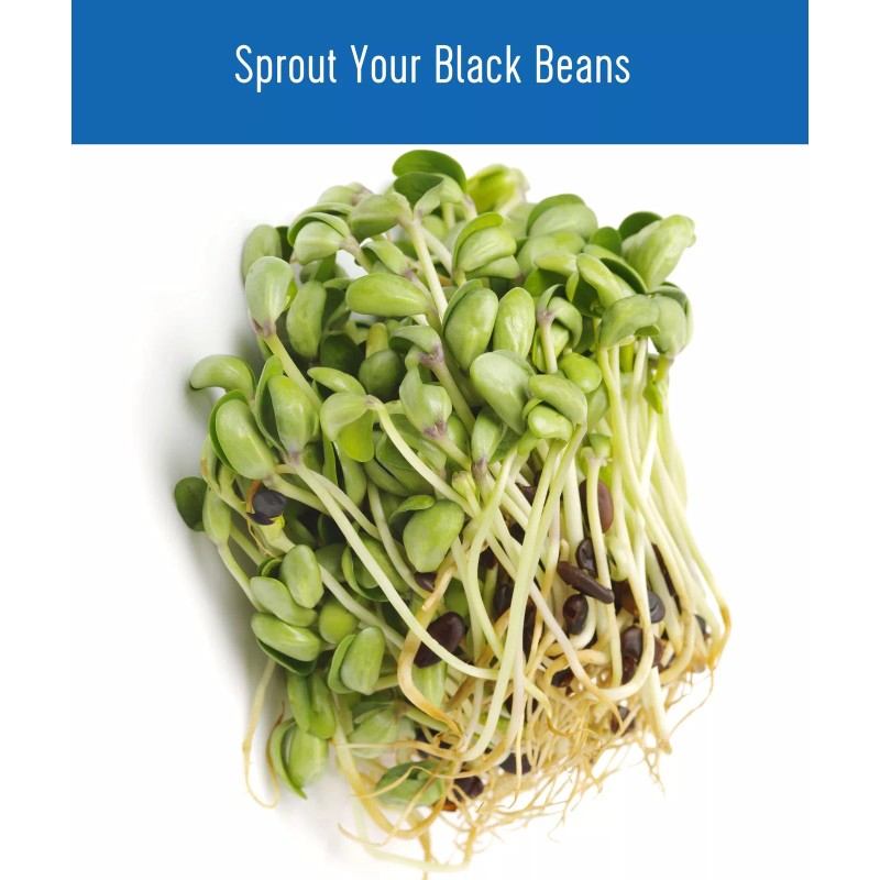 Clear Creek Black Beans, Dry, 4 LBS