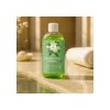 Shampoo Capilar De Extracto De Bergamota 500ml