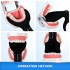 6 uds contraste Dental intraoral fotográfico Dental negro tablero de