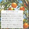 Natural 100% Sweet Orange Oil 30ml (Orange Sweet) Essential Oil