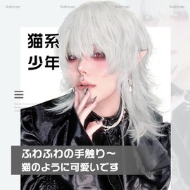 Sofeiyan Men's Wig, Wolf, Mallet Wolf, Long, Stylish Layered Twink, Natural, Small Face, Men's Clothing, Harajuku, Imechen, Cosplay, Full Wig, Black, Cosplay Wig, Unisex, Everyday Use, Wig Net