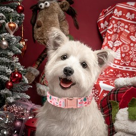 Babole Pet Christmas Dog Collars for Medium Dog,Pink Dog Collar with Safety Metal Buckle Adjustable Puppy Collars for Small Large Dog,Boy&Girl&Male&Female Dog Gift,M-13.5"-22"