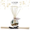 LOVSPA Winter Woods Reed Diffuser and Sticks Gift Set –