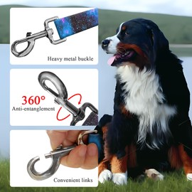 BSDUUIF Dog Leash for Large Medium and Small Dogs, Cute Polyester 6 Foot Dog Training Leash, Walking Lead for Dogs Blue Galaxy
