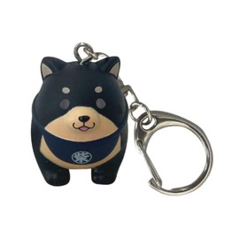 SK Japan Key Chain, One Size