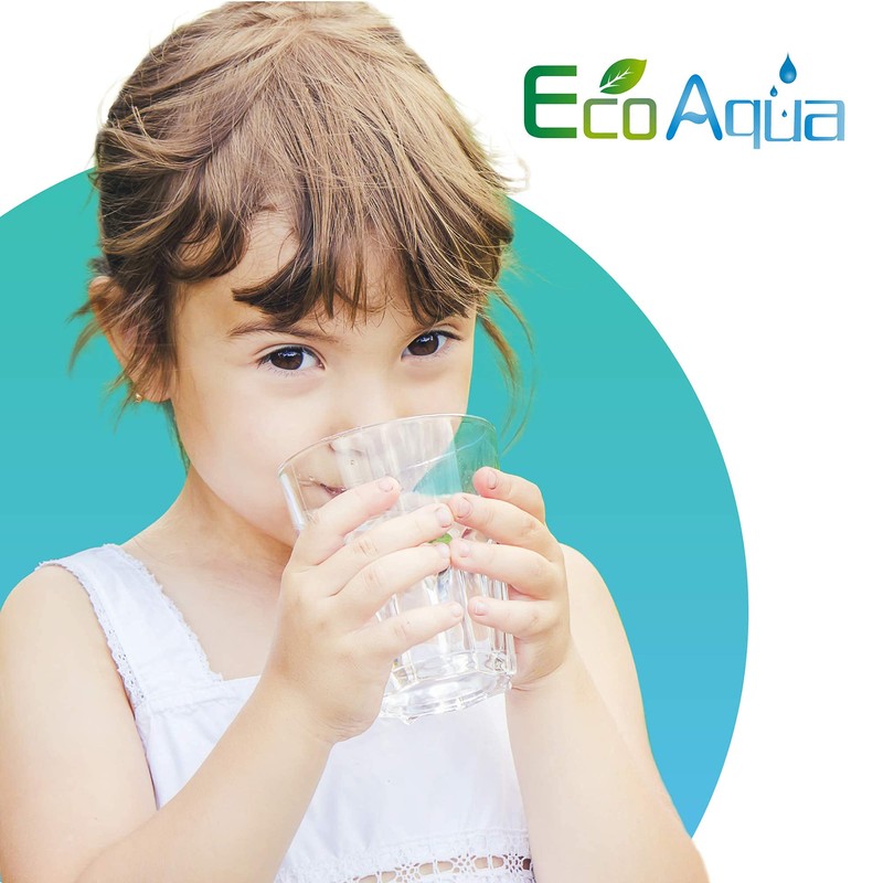 EcoAqua WF1CB Refrigerator water Filter, Replacement for WF1CB, WFCB®, RG100,