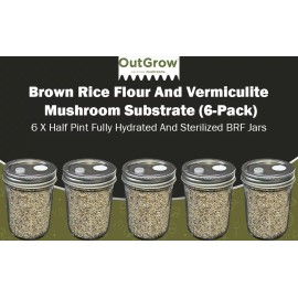 Out-Grow BRF Jars Brown Rice Flour Mushroom Substrate (6 Pack)
