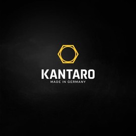 KANTARO 4601 Bit Z2 x 70 mm for PlusMinus Pozidriv Screws SL/PZ2 Made in Germany