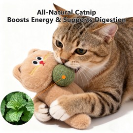 Speedy Panther Interactive Cat Toys Set with Catnip Balls, Plush Kitten Chew Toys, Cat Kick Toys, Dental Cleaning Toys,3Pcs