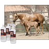 UltraCruz Equine Horse Shampoo, Conditioner and Show Polish Bundle, 32