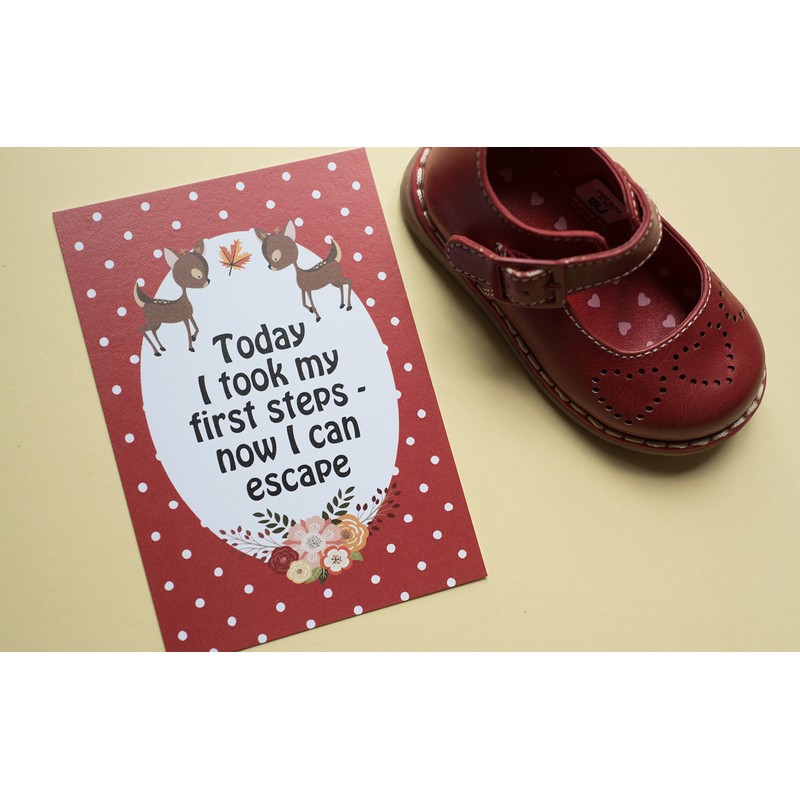 Alternative Baby Journey Cards ® - Forest Animals DD032