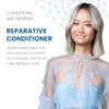 ALOXXI Reparative Conditioner, 10.1 Fl Oz