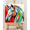 TOCARE Framed Paint by Numbers Kit for Adults, Horse Paint