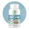 Lions Mane Melena de León Orgánico 60 Cápsulas | Suplemento
