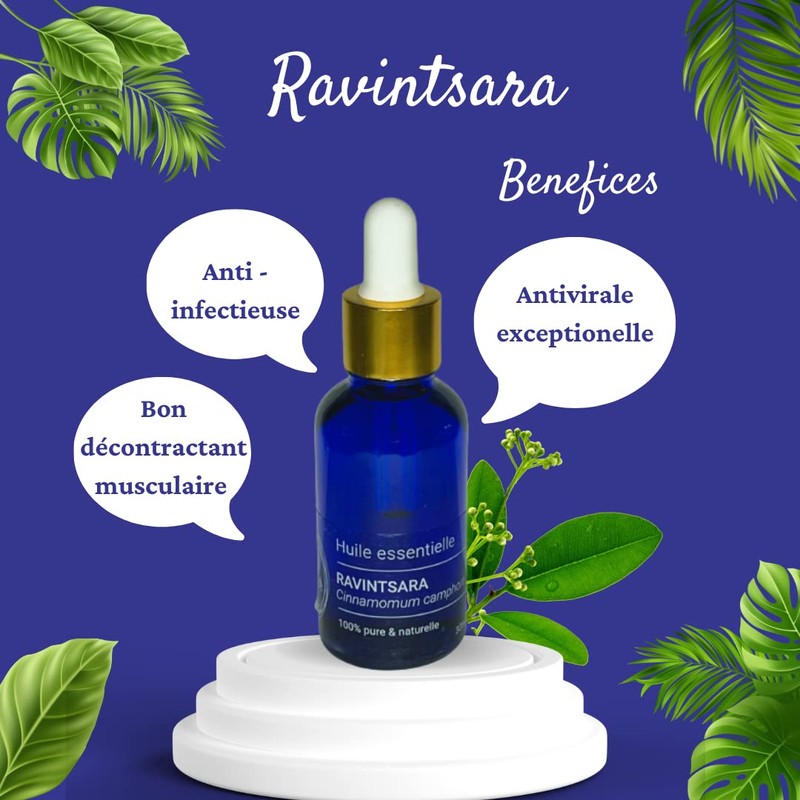 Ravintsara Essential Oil 30ml (Chemotype Cinnamomum Camphora) 100% Pure and