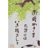 narumikk 10-791 Noren Ren, White, 33.5 x 35.4 inches (85
