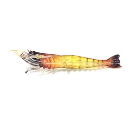 Orludo Qb100060a02n0 Soft Shrimp Worm (Shrimp Worm) Approx. 3.7 inches (9.5 cm), 3 g, Set of 10 Soft Lures, Shrimp Worm, Perfect for Children and Women Who Can't Put Bait, Great for Thai Targeting