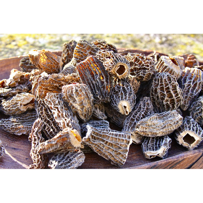 Wild Morel Mushrooms - Sun-Dried Caps (4 - 8 cm)