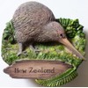 Kiwi NEW ZEALAND Resin 3D fridge Refrigerator Thai Magnet Hand