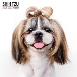 Shih Tzu Calendar 2025 Modern
