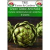 TKE Farms & Gardens - Artichoke Seeds for Planting, Green
