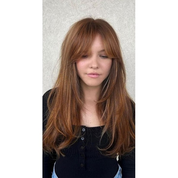 LANOVA Honeyed Caremel Dreamy Hair Wig,Blonde Brown Highlighted Face Framing