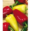 22Day Seeds: Seeds Sweet Bell Pepper White Belozerka/Non GMO/Heirloom