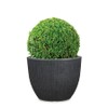 Scheurich Barceo 30 Round Planter/Planter/Planter - Stony Black - Made