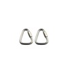 Pack of 2 Carabiner Hooks, Stainless Steel 304 Triangular Carabiner