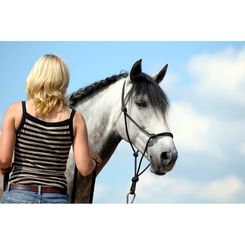 Hunters Saddlery Natural Horsemanship Rope Halter Headcollar Compatible with Parelli