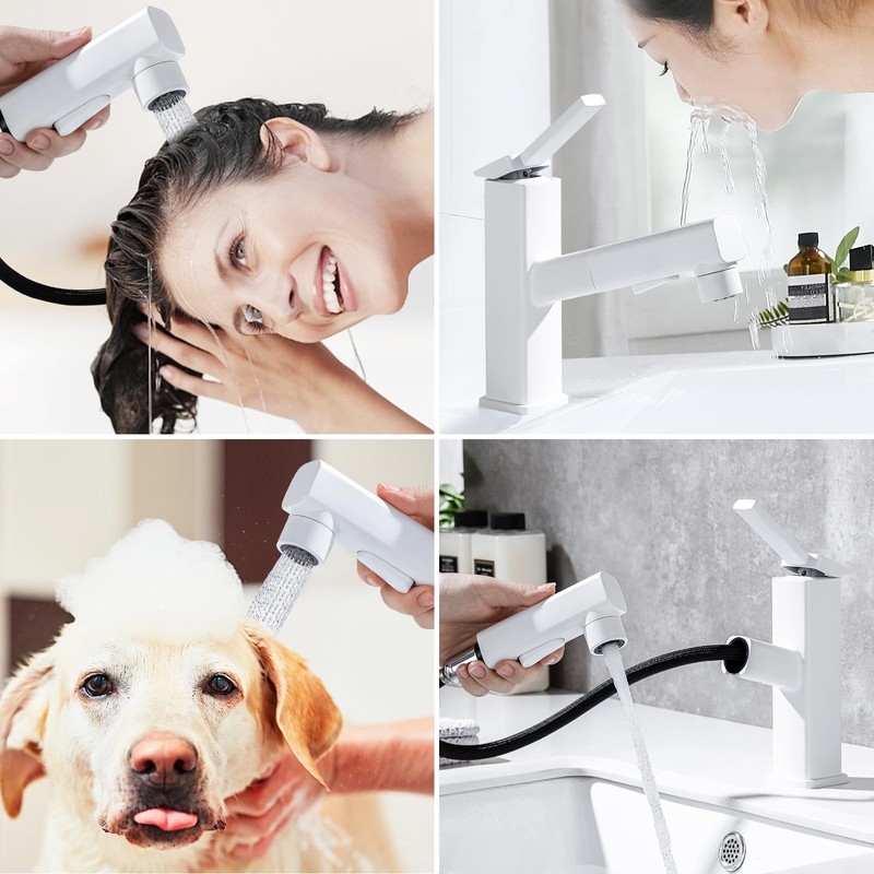 HANLIAN Single Hole Bathroom Pull Out Faucet with Rotating Spout,