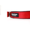 Downtown Pet Supply Deluxe Dog Collar - Padded Adjustable Dog