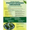 Photosynthesis Enhancer Foliar Spray