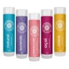 5 Pack Bálsamo Labial Dr. Akermans Frutas 4.5g Natural