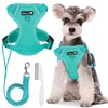 Dog Harness, Dog Harness, Rope Length 150 cm, 1 Dog