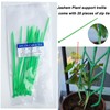 Jashem Garden Trellis for Climbing Plants 6 PCS Plastic Indoor