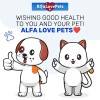 Kennel Cough Relief for Cats & Dogs | Pet Cough