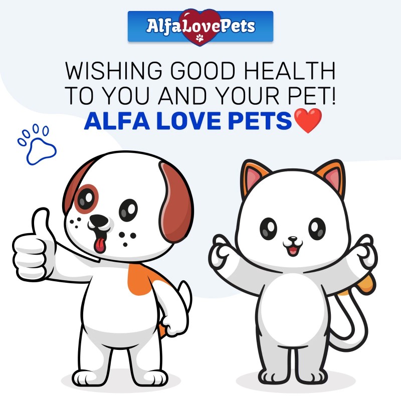 Kennel Cough Relief for Cats & Dogs | Pet Cough