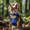 Joytale Reflective Dog Collar, Soft Neoprene Padded, Metal D-Ring, Nylon