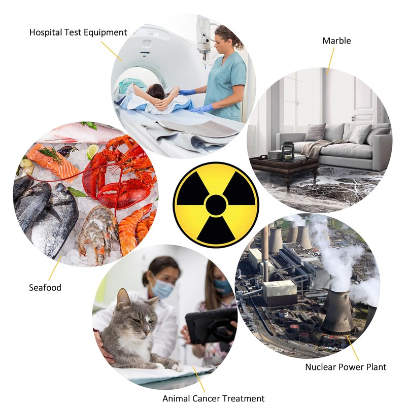 Nuclear Radiation Meter Geiger Counter, BTMETER Radioactive Detector Detect Beta