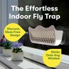 BugMD Barfly - Window Replacement Traps (6 Pack) - Window