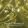L´Occitane Mascarilla Capilar Reparación Intensa Aromacología 200ml
