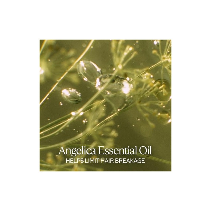 L´Occitane Mascarilla Capilar Reparación Intensa Aromacología 200ml