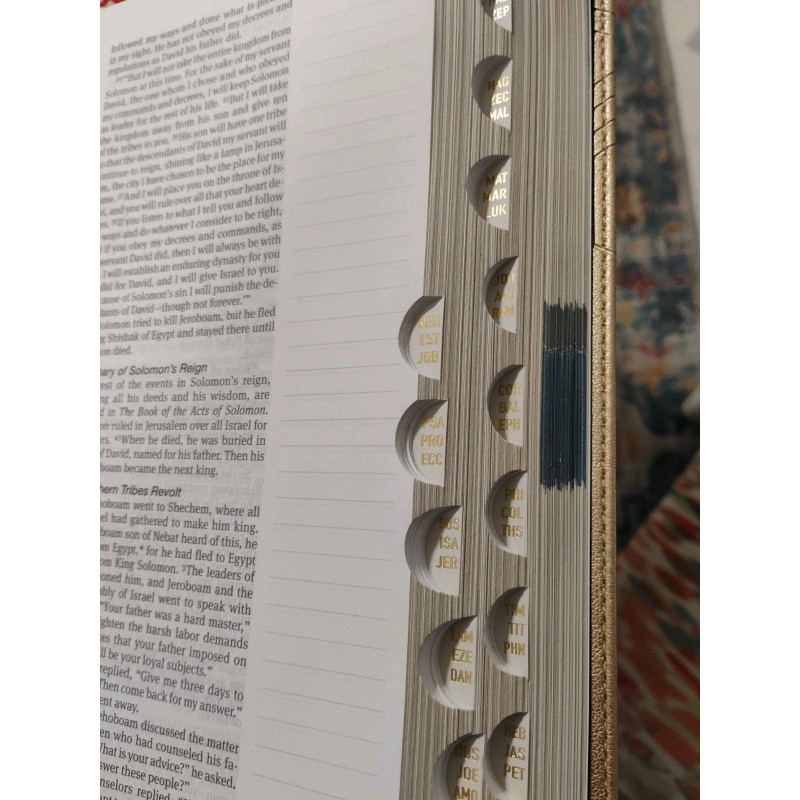 One Step Closer Bible Pink, Thumb Indexed