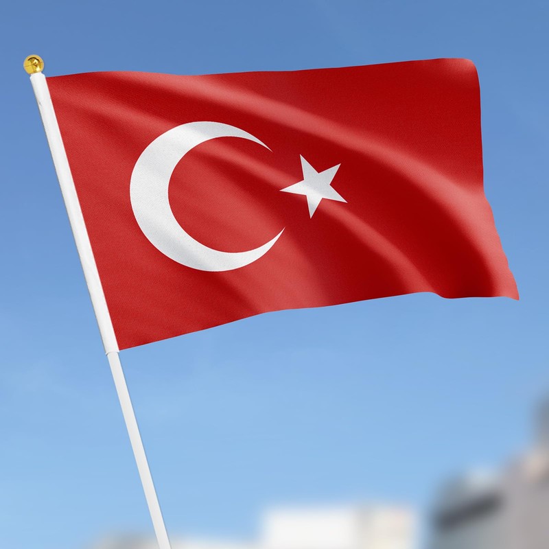 ASUNO 20 Pack Flags HandHeld Small Banners 14 × 21