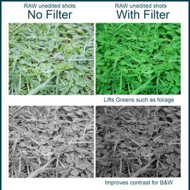 MaD Cameras 58mm Green Colour Correction Camera Lens Filter - Reduces Glare, Enhances Contrast & Depth for DSLR & Mirrorless Cameras – Green 58mm