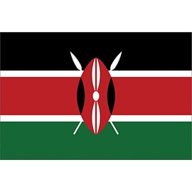 GLOBAL ADVERTISING SOLUTIONS 3x5 Country National Flag Made in USA Bright Colors Long Lasting and Weather Resistance Country State Flag only Without Pole kit and Mount (Kenya)