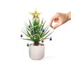 Festive Plant Baubles and Decoration Kit, Festive Plant Christmas Ornaments